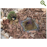 Благоустройство дачного участка