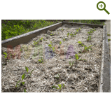 Благоустройство дачного участка