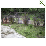 Благоустройство дачного участка