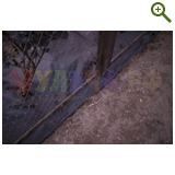 Благоустройство дачного участка