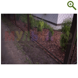 Благоустройство дачного участка