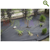 Благоустройство дачного участка