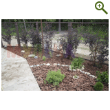 Благоустройство дачного участка