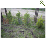 Благоустройство дачного участка