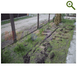 Благоустройство дачного участка