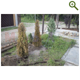 Благоустройство дачного участка