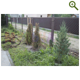 Благоустройство дачного участка