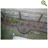 Благоустройство дачного участка