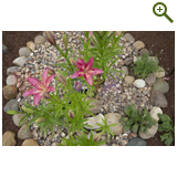 Благоустройство дачного участка