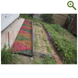 Благоустройство дачного участка