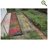 Благоустройство дачного участка