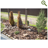 Благоустройство дачного участка