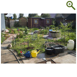 Благоустройство дачного участка