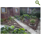 Благоустройство дачного участка