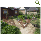 Благоустройство дачного участка