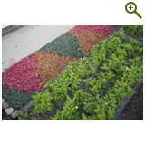 Благоустройство дачного участка