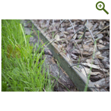 Благоустройство дачного участка