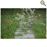 Благоустройство дачного участка