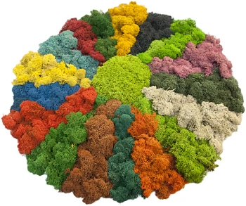 Мох стабилизированный №8 зеленое яблоко, 30*40 см, пак