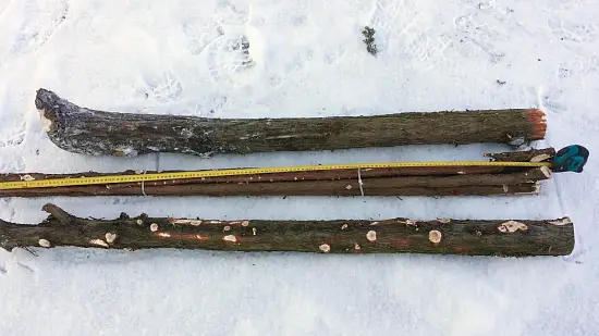 Хворост можжевеловый, (ветки h 0.5-1 м, Ø 2-10 см), кг