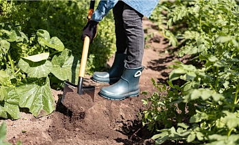 Plantic Лопата штыковая Terra Plus, арт 11011-01, шт