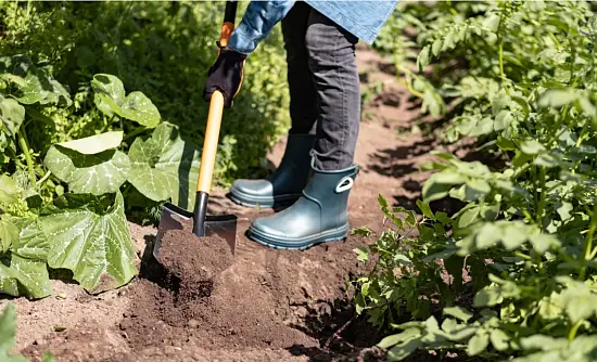 Plantic Лопата штыковая Terra Plus, арт 11011-01, шт