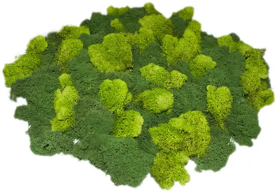 Мох стабилизированный №22 кофе, 30*40 см, пак