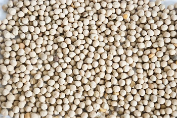 Сидерат Горох, 0,5 кг