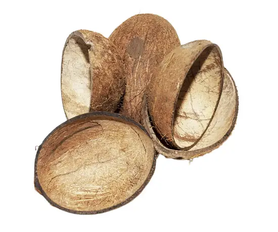 FM Скорлупа кокосового ореха с отверстием (половинка) домик для грызунов, шт