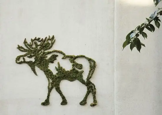 Мох натуральный, зеленый, лоток 30*40 см (без лотка), шт