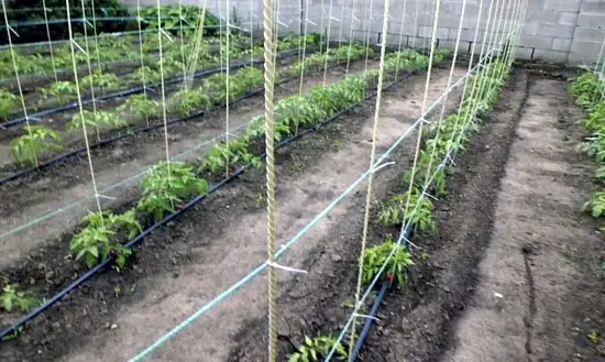 Композитная арматура Ø  4мм, 50 м/бухта