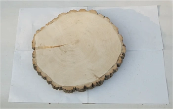 Спил осина шлифовка СОсШ1, (Ø 35-40 см, h 3см), шт