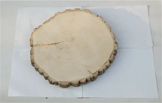 Спил осина шлифовка СОсШ1, (Ø 35-40 см, h 3см), шт