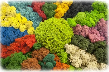 Мох стабилизированный №8 зеленое яблоко, 30*40 см, пак