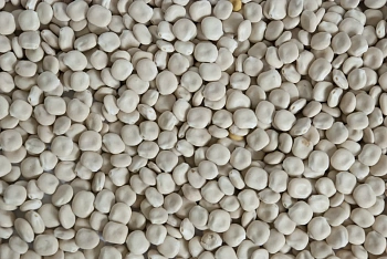 Сидерат Люпин, 0,5 кг