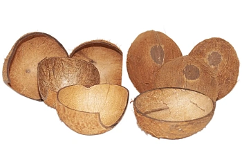 FM Скорлупа кокосового ореха с отверстием (половинка) домик для грызунов, шт