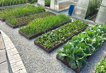 Усилитель универсальный для грядки из ПВХ (h 0,22 м, 0,9-1,0 м), коричневый, шт