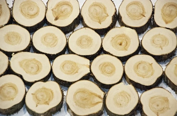Спилы поквадратно можжевельник шлифовка С корой (Ø 2-15см, h 1,5-2 см), м.кв.
