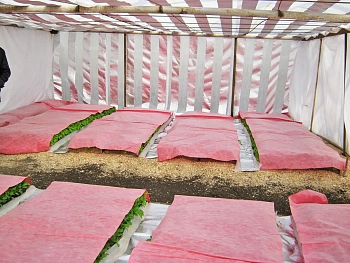 Агротекс двойная защита Бело-красный 60, 3,0*100 м, рул