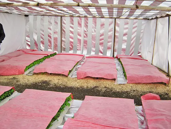 Агротекс двойная защита Бело-красный 60, 3,0*100 м, рул