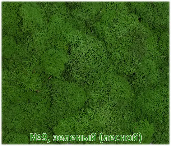 Мох стабилизированный №9 зеленый лесной, 30*40 см, пак