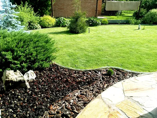 Шишки сосновые мелкие (600-800 шт), 60 л