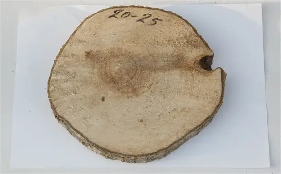 Спил осина без шлифовки СОс, (Ø 20-25 см, h 2см), шт