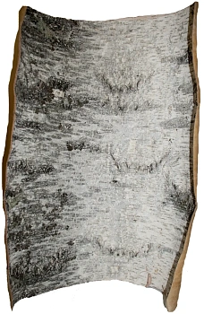 Береста в листах ( ~ 20 x 20 см), шт