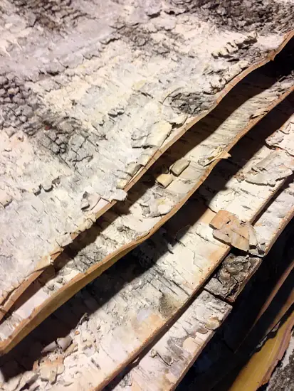 Береста в листах ( ~ 20 x 20 см), шт