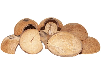 FM Скорлупа кокосового ореха с отверстием (половинка) домик для грызунов, шт