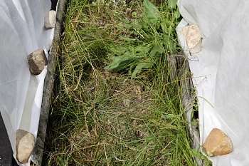 Агротекс Гео Черный  90 УФ, 0,8*12 м, уп