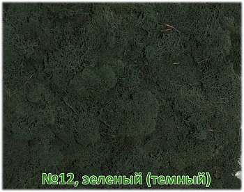 Мох стабилизированный №12 темно-зеленый, 30*40 см, пак