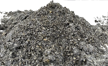 Грибной блок отработанный, 5-7 кг