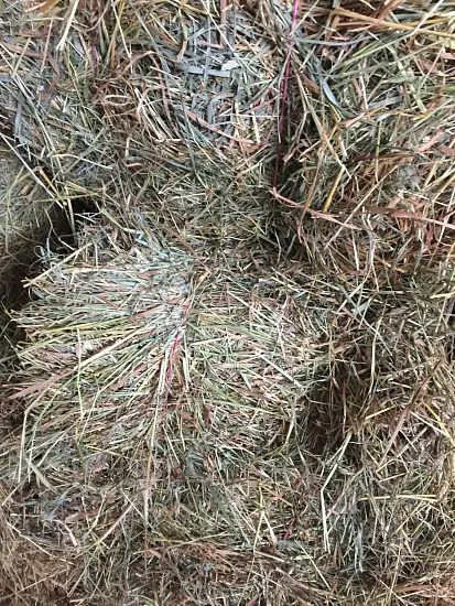 Сено луговое, тюк